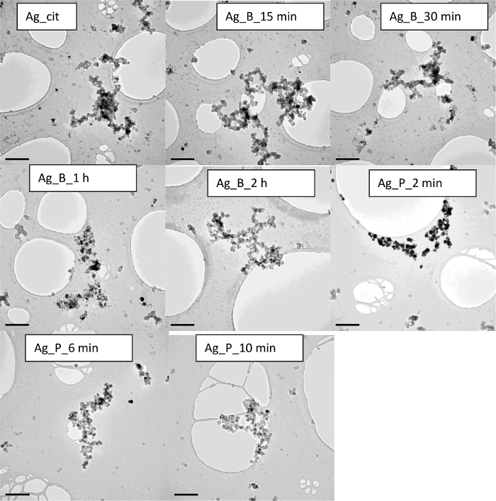 Figure 13