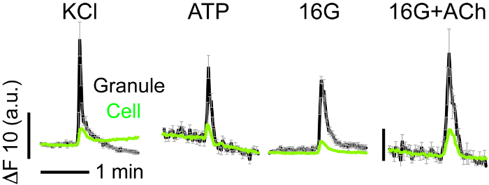 Figure 7