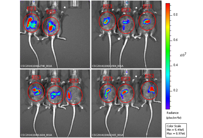 Figure 4