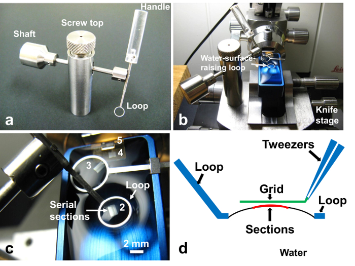 Figure 11