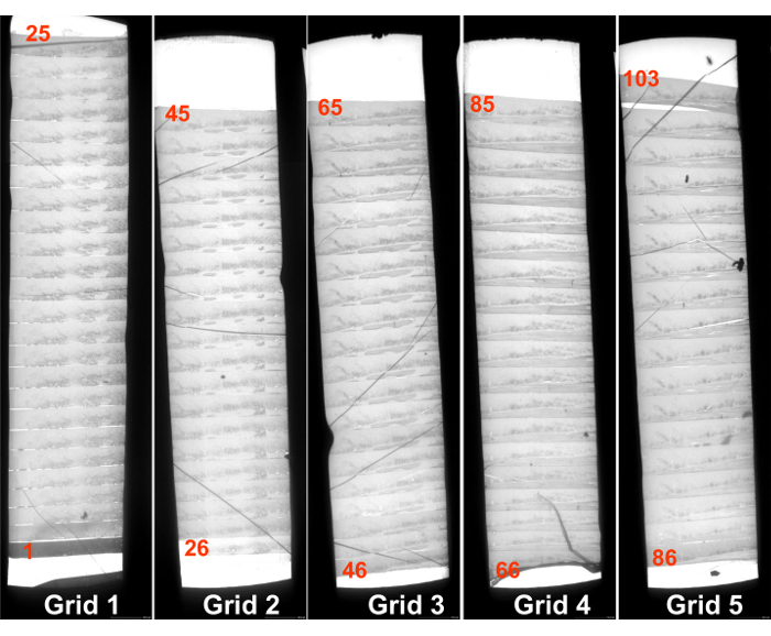 Figure 15