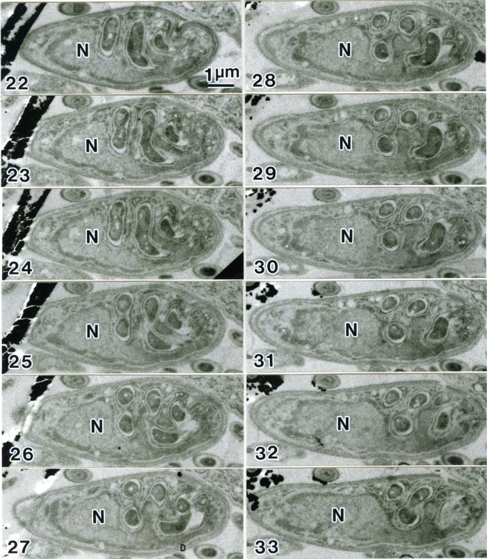 Figure 16