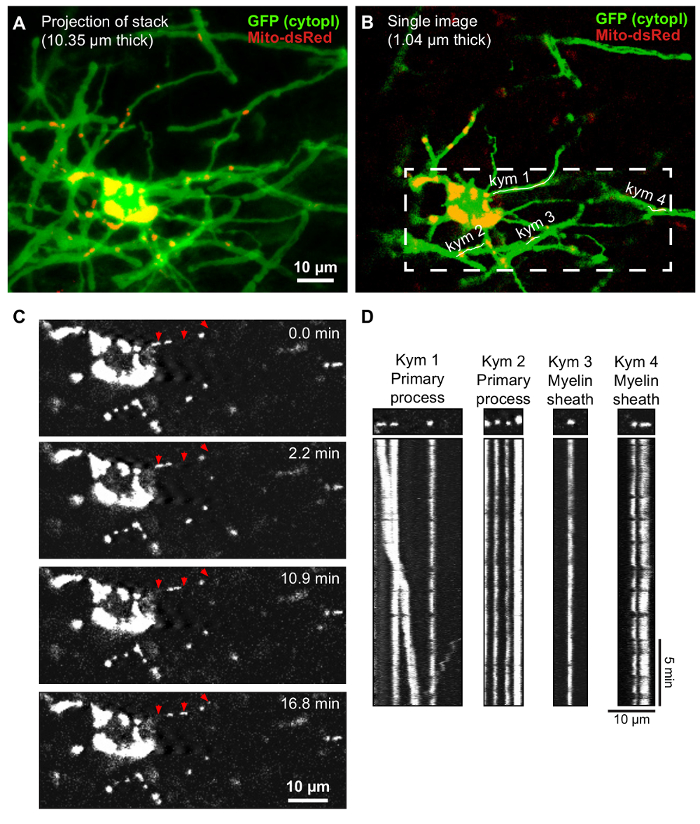 Figure 2