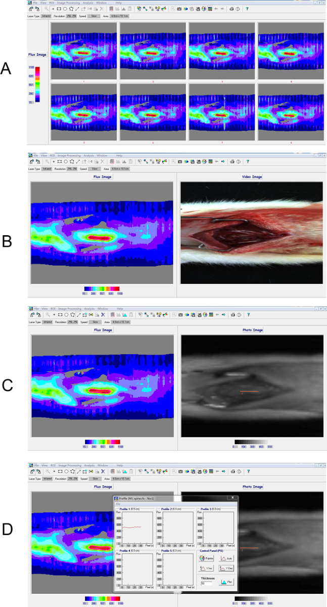 Figure 4