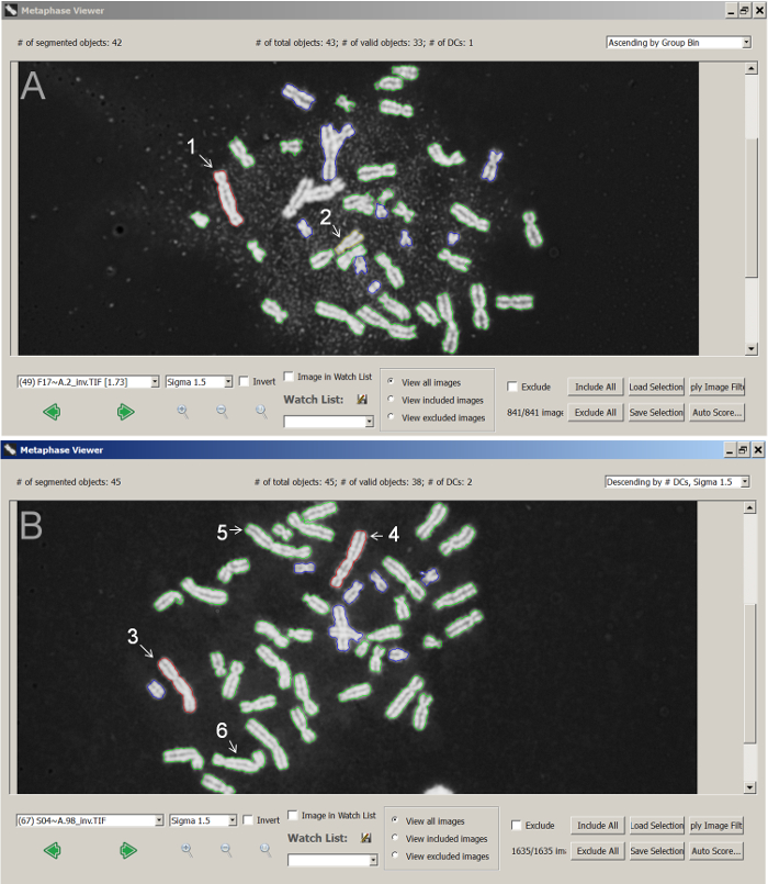 Figure 5