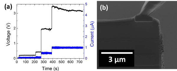 Figure 10