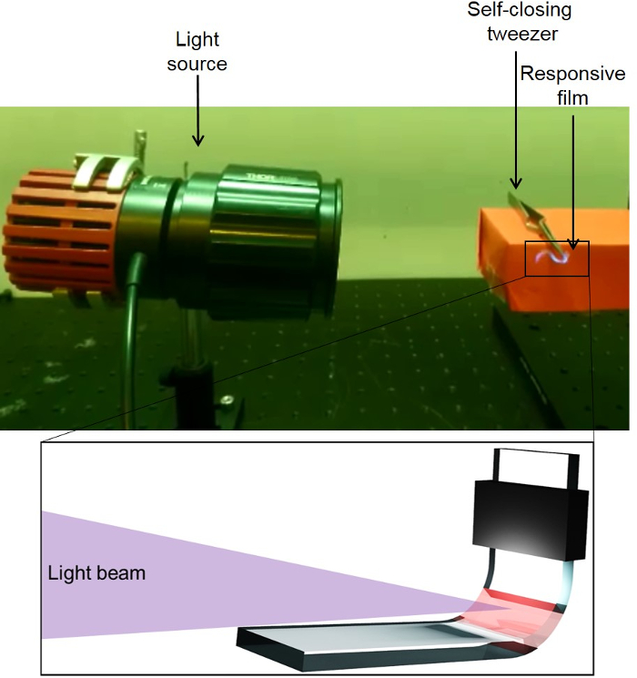 Figure 4