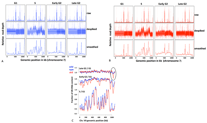 Figure 2