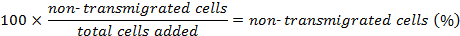 Equation 2