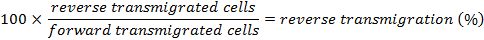 Equation 4