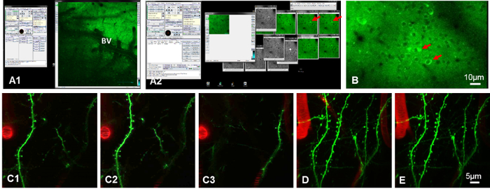 Figure 4