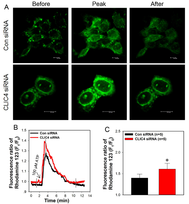 Figure 4