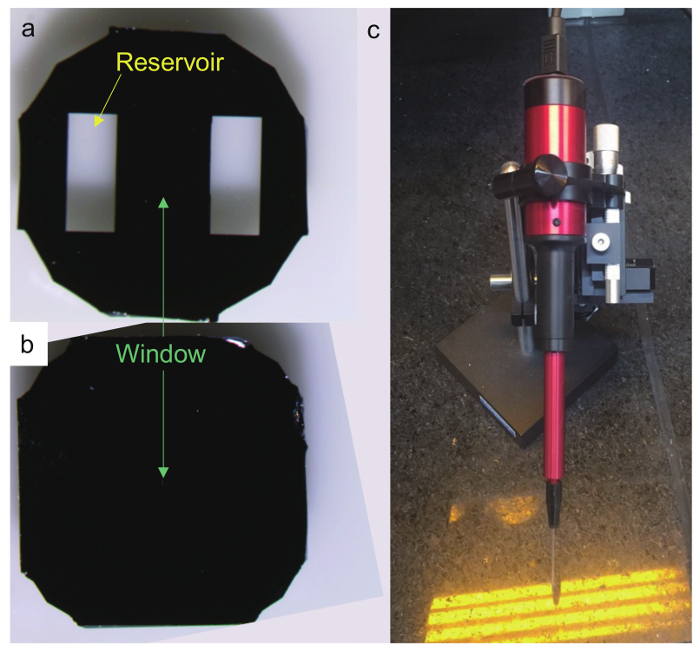 Figure 2