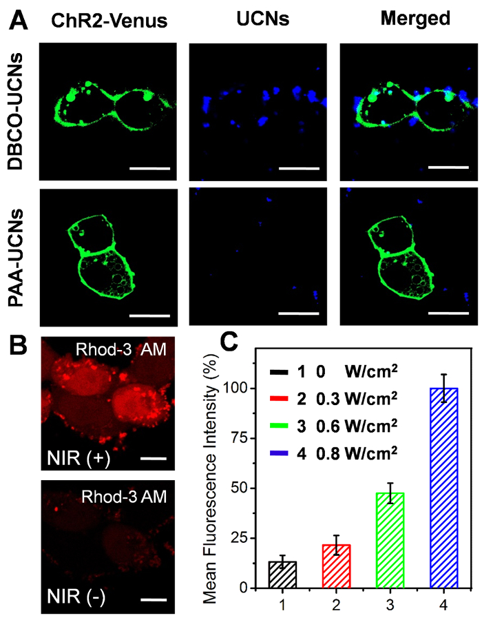 Figure 5