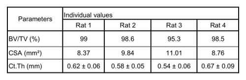 Table 2