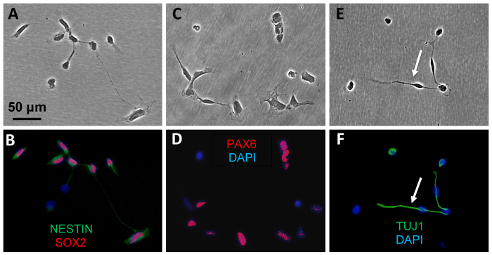 Figure 10