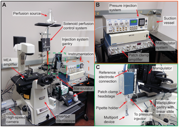 Figure 2