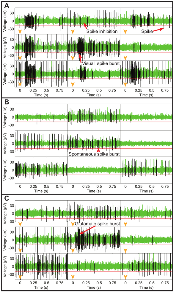 Figure 9