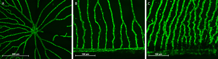 Figure 10