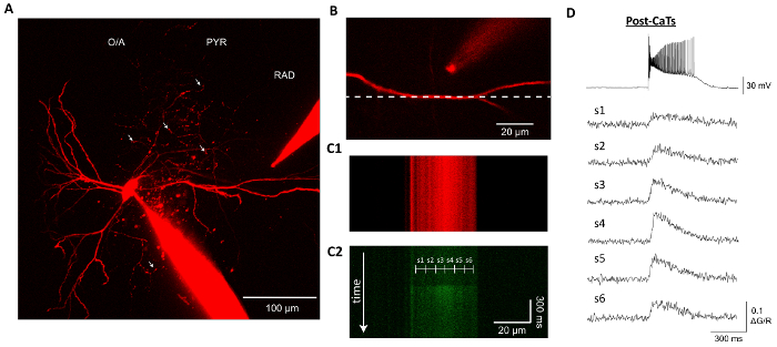 Figure 2