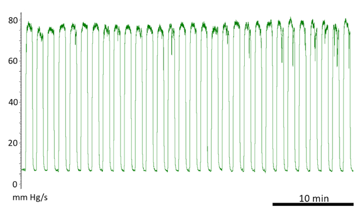 Figure 12