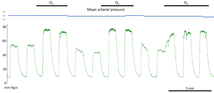 Figure 17