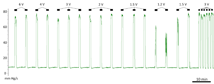 Figure 18