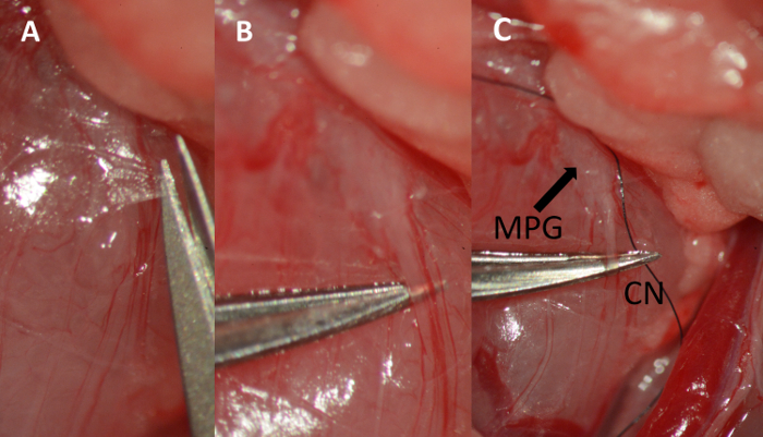 Figure 6