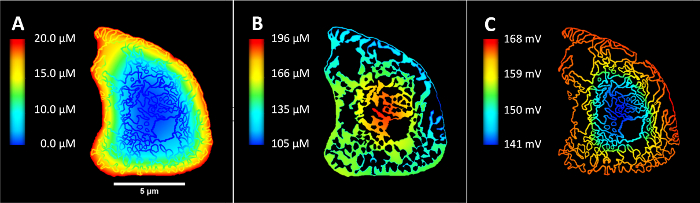 Figure 9