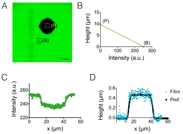 Figure 2