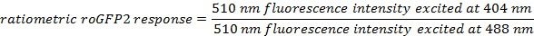 Equation 2