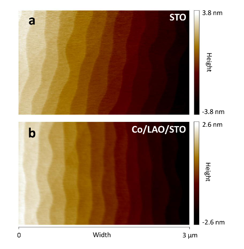 Figure 5