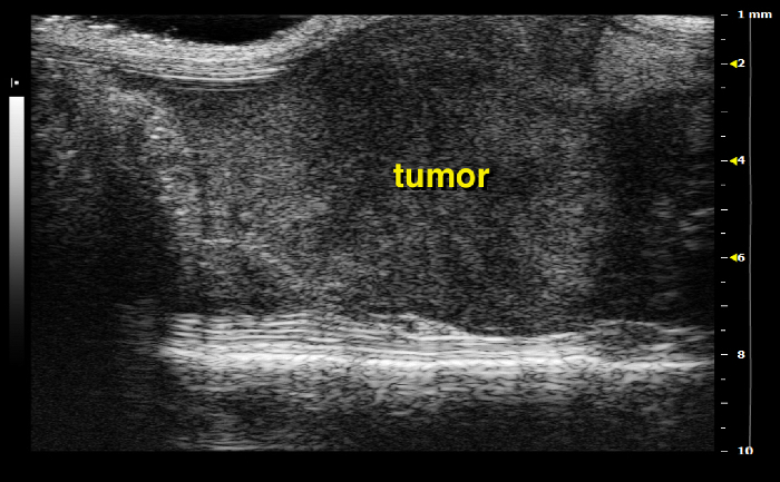 Figure 19