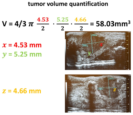 Figure 21