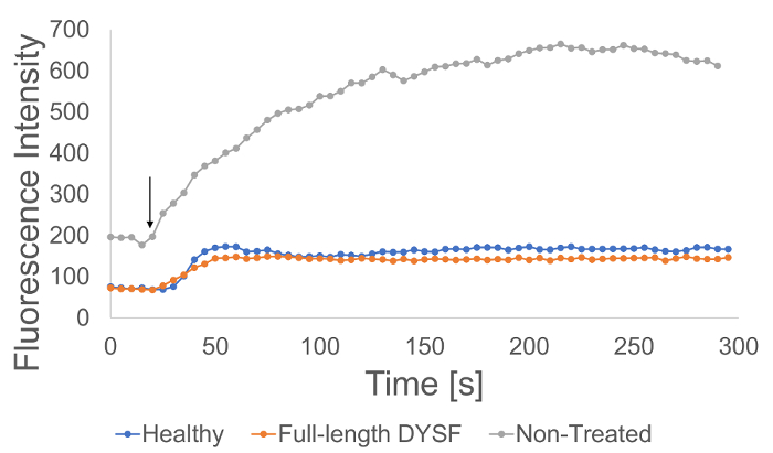 Figure 5