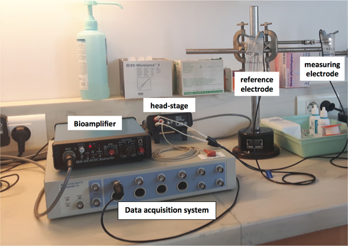 Figure 5