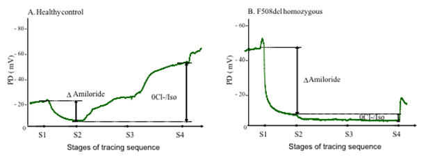 Figure 8