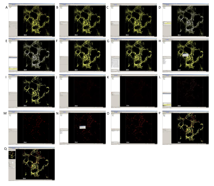 Supplementary Figure 2