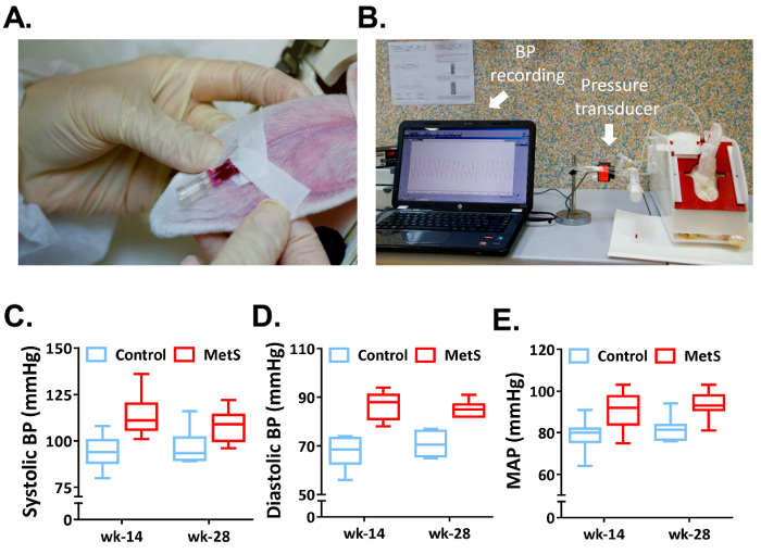 Figure 5