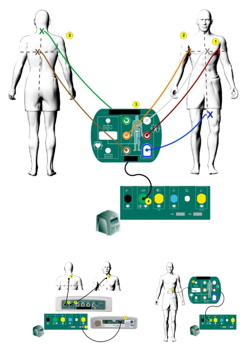 Supplementary Figure 2