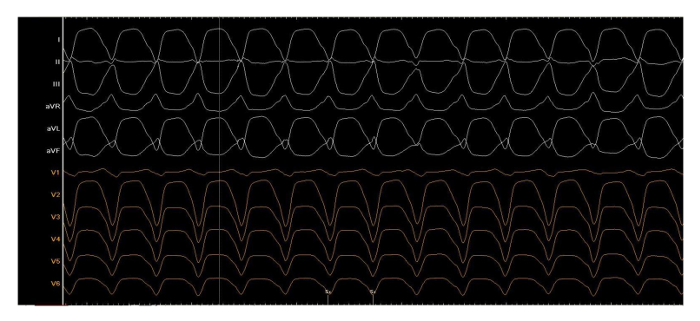 Supplementary Figure 3