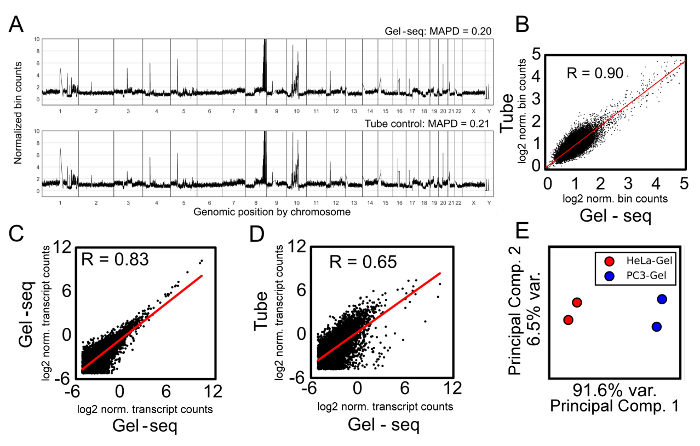 Figure 5