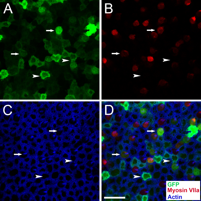 Figure 6