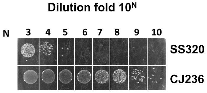 Figure 5