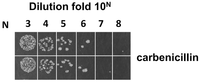 Figure 7