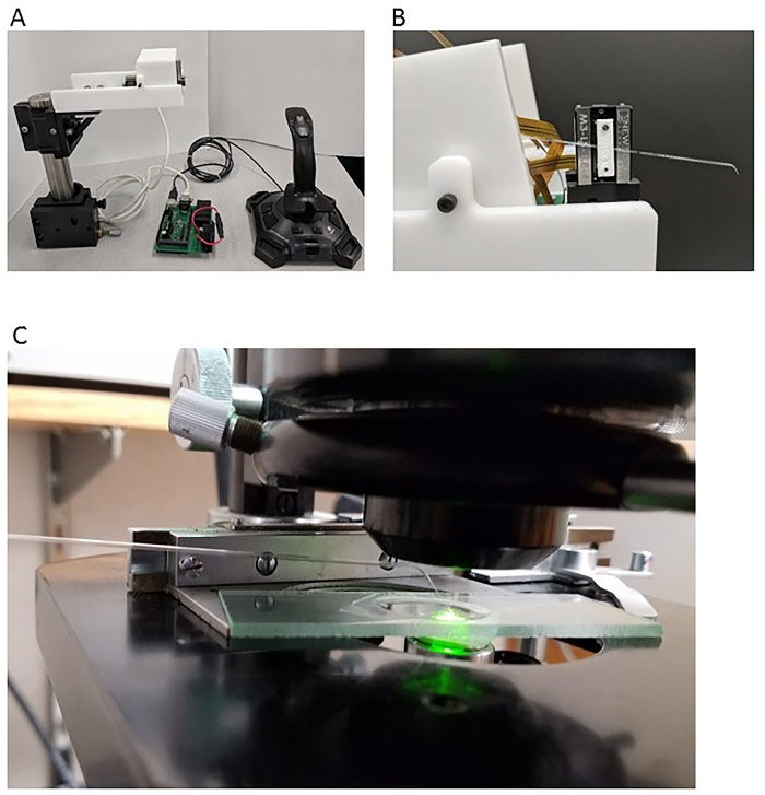 Figure 5