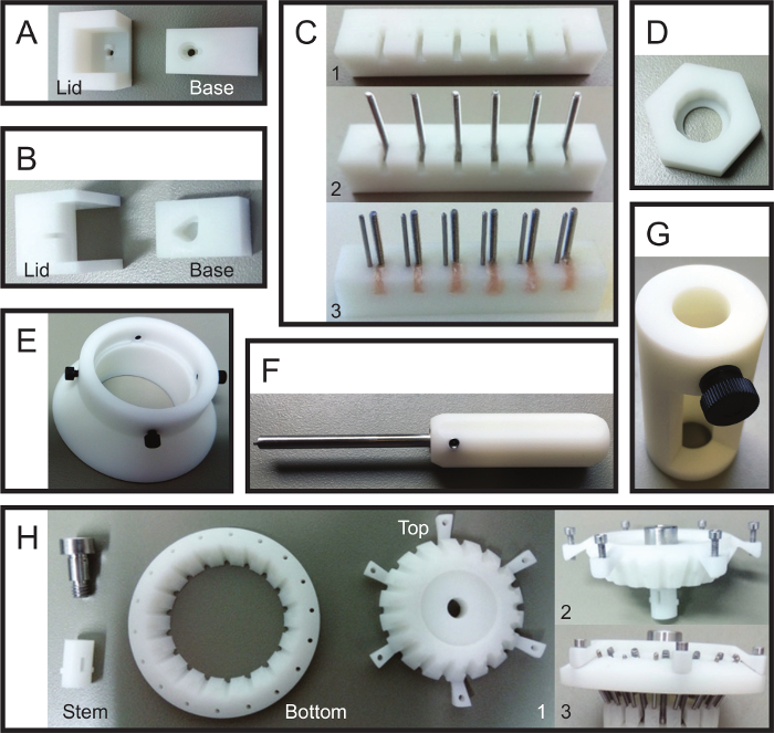 Figure 2