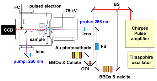 Figure 9