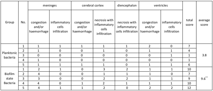 Table 1