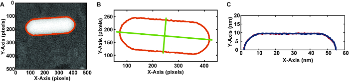 Figure 7